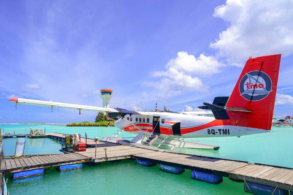 Zetta Tours